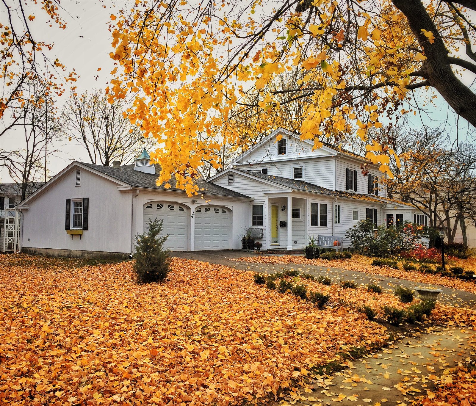 White colonial home with an asphalt shingle roof surrounded by fallen autumn leaves