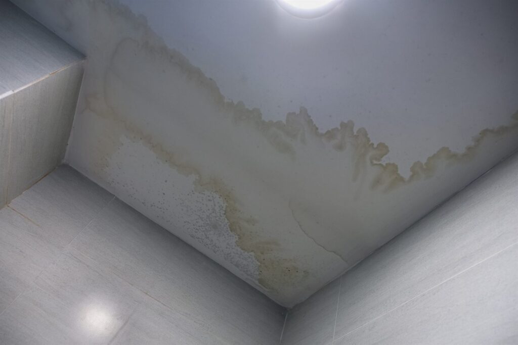 Brown water stain spreading across a white bathroom ceiling from a roof leak